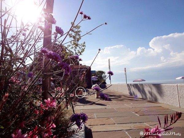 Les dernières vacances de PICSOU à Evian 