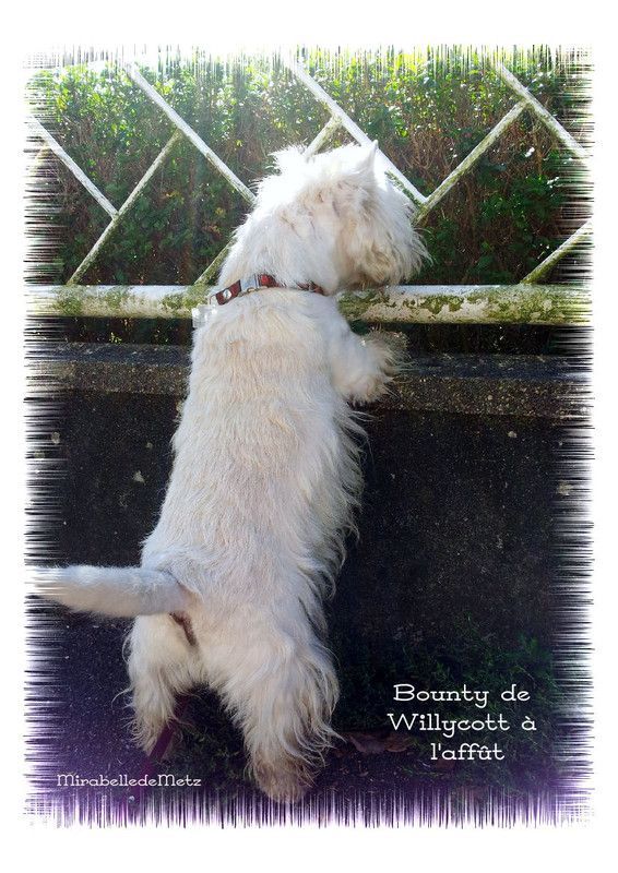 Faut que j'y retourne...