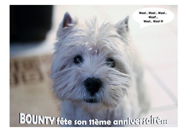 Joyeux Anniversaire... Boubou