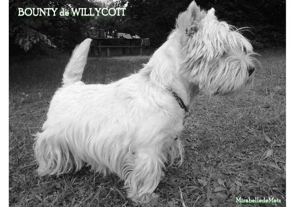 La même posture en Noir et Blanc.