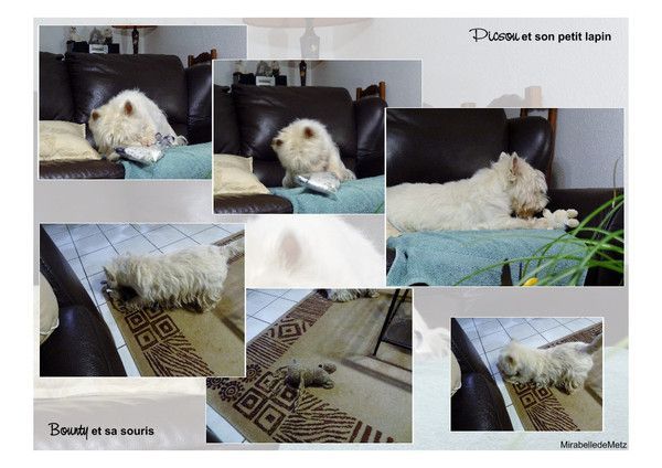 Joyeux Noël mes bébés.