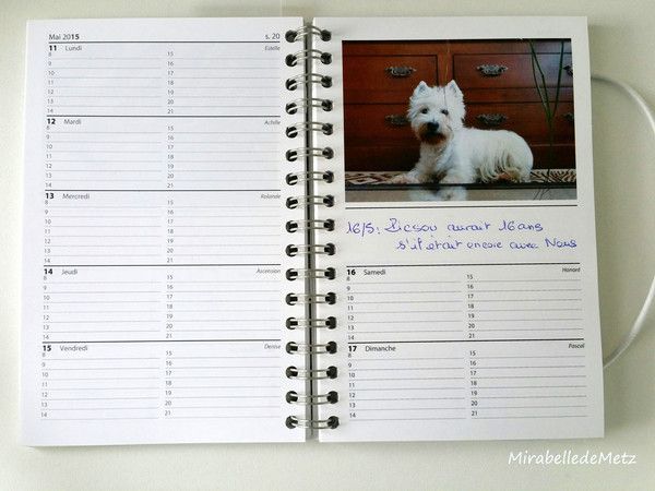 Il aurait 16 ans aujourd'hui...