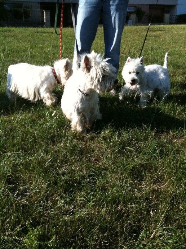 Quand PICSOU & BOUNTY rencontrent FIONA