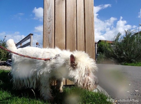 Quelques gouttes sur l'objectif